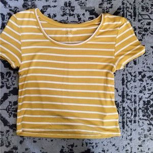American eagle crop top